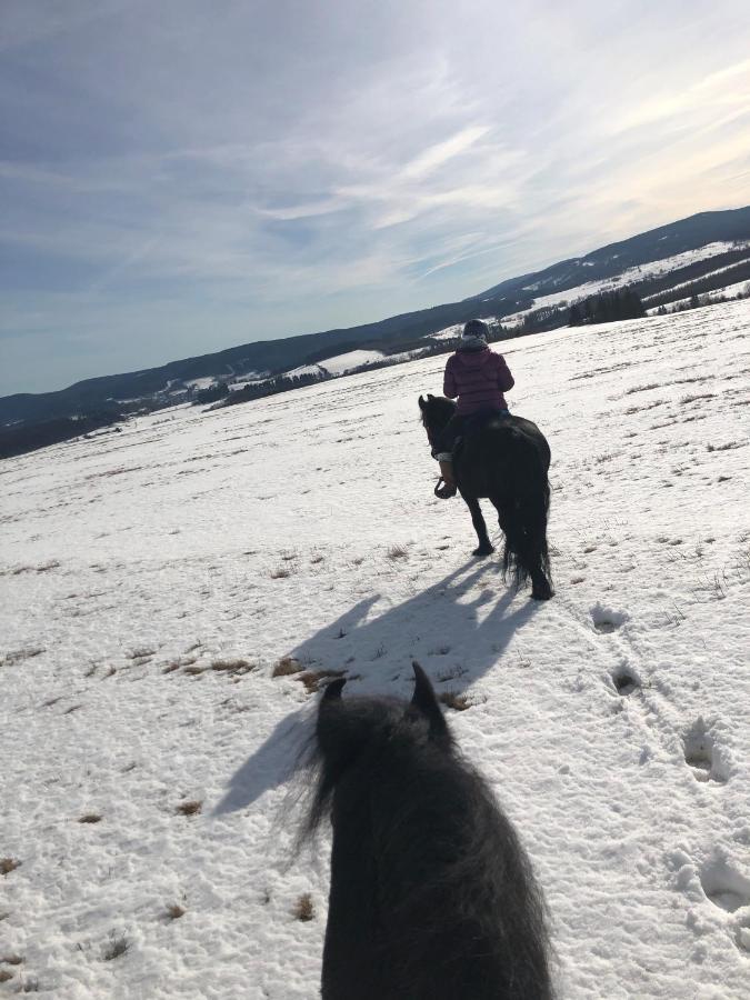 Caloroczne Jurty Mongolskie - "Domy Slonca" Kladsko Exteriér fotografie